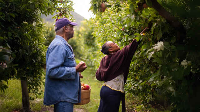 Gopher Glen Apple Farm