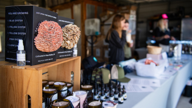 Mighty Cap Mushrooms