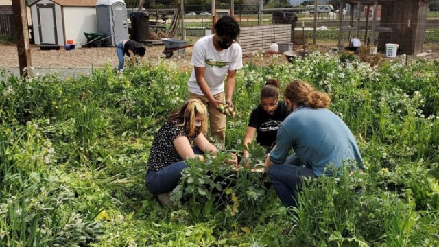 Our Global Family Farm