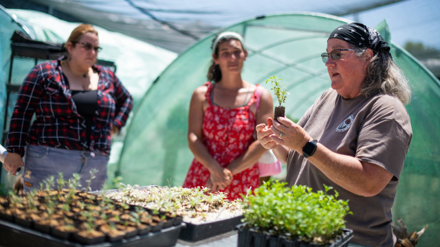 DW Farms Native Plant Nursery + OFD