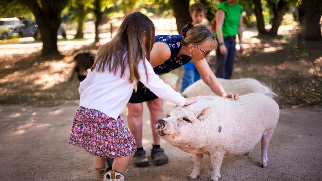 Giving Tree Family Farm + OFD