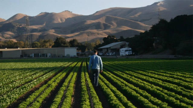 Talley Farms Box + OFD